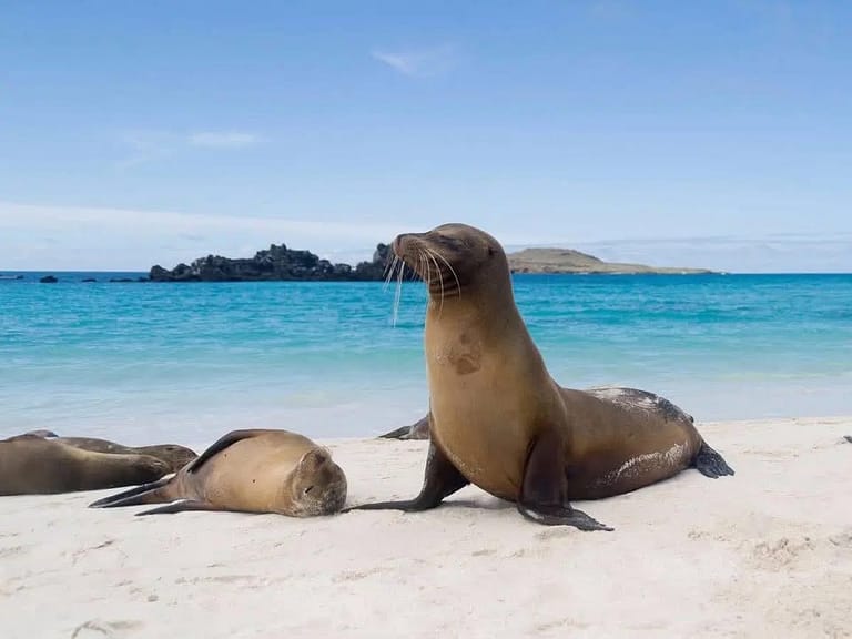Peru, Ecuador & The Galรกpagos Islands Tour โ๏ธ